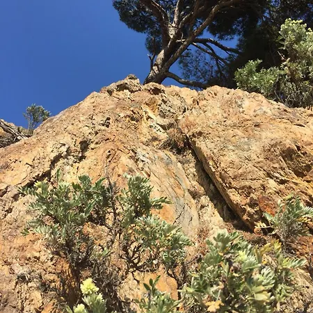 Ξενοδοχείο Grand Moriaz 3*